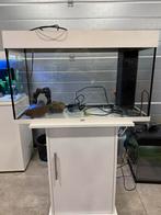 Juwel 125 Liter aquarium (zonder onderkast), Ophalen, Zo goed als nieuw, Leeg aquarium