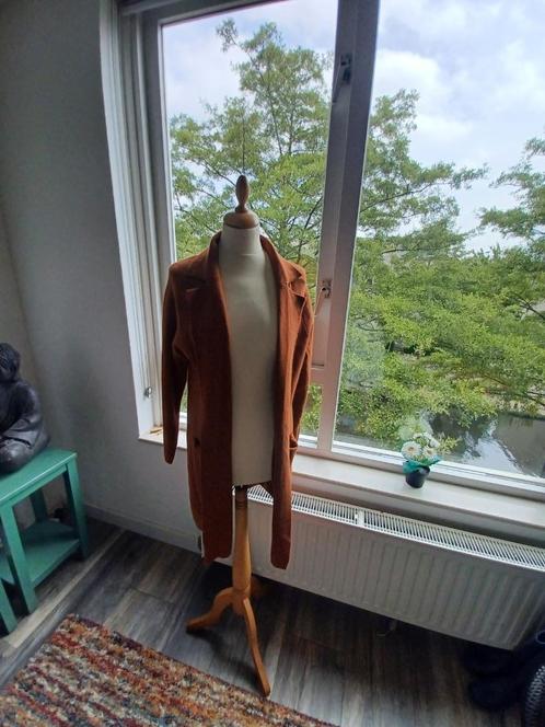 Lekkere warme vest, Kleding | Dames, Truien en Vesten, Gedragen, Maat 38/40 (M), Bruin, Ophalen of Verzenden
