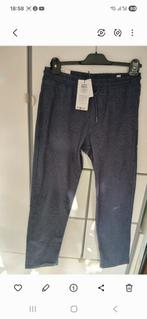 Nieuwe Jack & Jones Jogger - Nieuw met kaartje!, Blauw, Nieuw, Ophalen of Verzenden, Jack & Jones