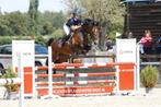 Plek vrij! Beleren, Training, Instructie, Verkoop