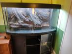 Juwel vision 260 aquarium, Dieren en Toebehoren, Ophalen, Zo goed als nieuw, Leeg aquarium