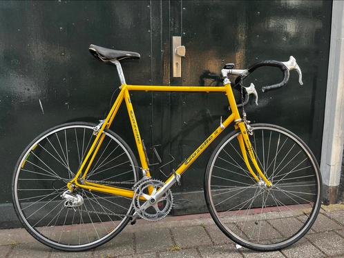 Gazelle champion mondial (1987) - Reynolds 531 (64), Fietsen en Brommers, Fietsen | Racefietsen, Zo goed als nieuw, Gazelle, 10 tot 15 versnellingen