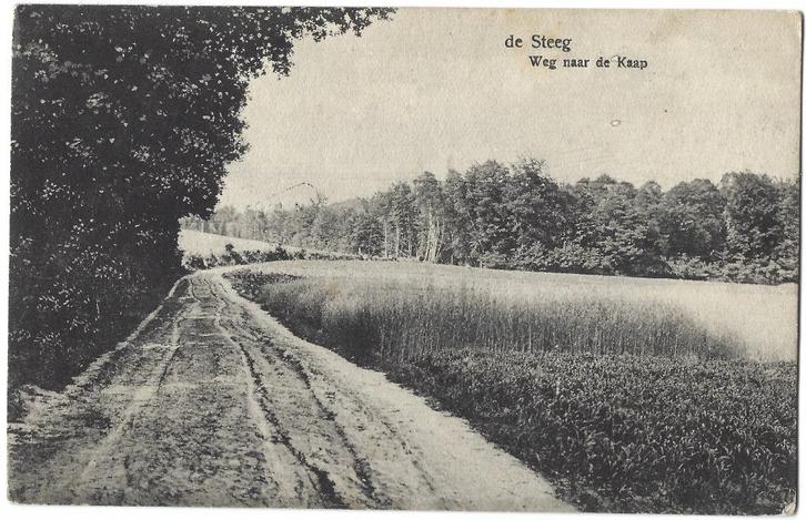 De Steeg, Weg naar de Kaap. Opruimingskaart, Verzamelen, Ansichtkaarten | Nederland, Gelopen, Gelderland, 1920 tot 1940, Verzenden