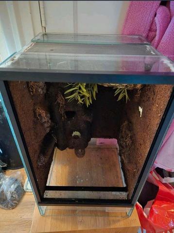 Terrarium 30x30x50 beschikbaar voor biedingen
