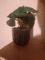 Leuk kunstplantje, Ophalen of Verzenden, Zo goed als nieuw