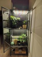 Vitrinekast met groeilampen, Tuin en Terras, Kweekspullen, Ophalen, Gebruikt, Kweekkast