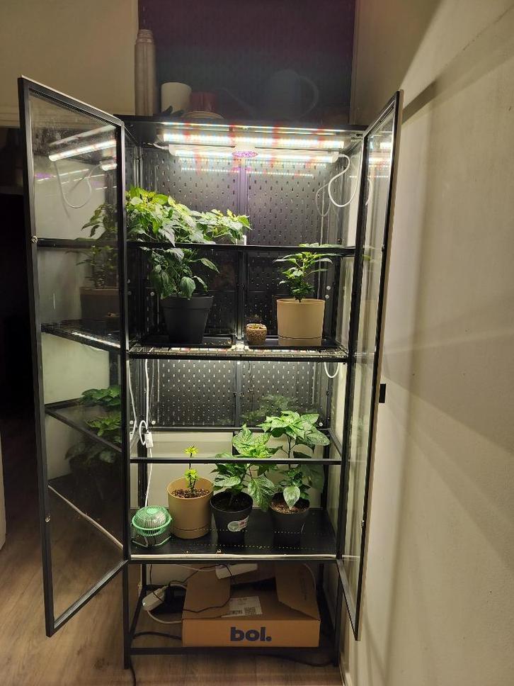 Vitrinekast met groeilampen, Tuin en Terras, Kweekspullen, Gebruikt, Kweekkast, Ophalen