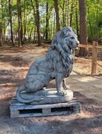 Grote leeuw 135 cm hoog