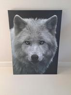 Canvas poster, wolf, 60 x 80, Ophalen, Zo goed als nieuw, Foto of Poster, 75 cm of meer