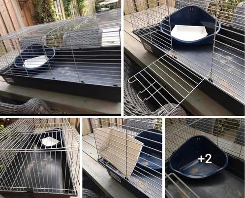 Cavia konijn binnenhok, Dieren en Toebehoren, Knaagdieren en Konijnen | Hokken en Kooien, Zo goed als nieuw, Kooi, Minder dan 60 cm