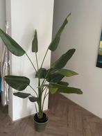 Grote kunstplant Strelitzia (Bird of Paradise) met pot, Ophalen, Volledige schaduw, 100 tot 150 cm, Overige soorten