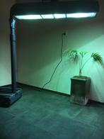 Philips Original Home Solaria zonnehemel, Witgoed en Apparatuur, Zonnebanken en Gezichtsbruiners, Ophalen, Gebruikt, Zonnebank enkelzijdig