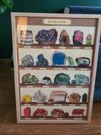 Edelstenen Collectie met Poster en Boeken, Verzamelen, Mineralen en Fossielen, Ophalen of Verzenden, Mineraal