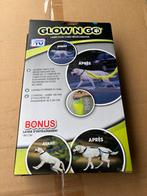 Verlichte Honden halsband, Ophalen of Verzenden, Nieuw