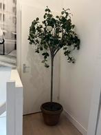 Prachtige FLAMANT zijden kunstbomen Camelia, Huis en Inrichting, Woonaccessoires | Kunstplanten en Kunstbloemen, Verzenden, Zo goed als nieuw