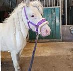 Mini apalousa, Ophalen of Verzenden, Gebruikt