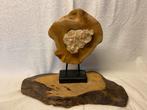 Houten sculptuur met kristal, Huis en Inrichting, Ophalen of Verzenden, Zo goed als nieuw
