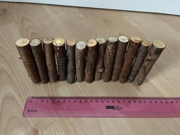 Hamster knaagdieren wilgenbrug beschikbaar voor biedingen