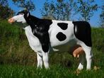 Beeld Koe - 105 cm - Polystone, Ophalen of Verzenden, Nieuw, Metaal