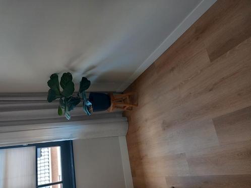 Karwei Le Noir & Blanc Click PVC Madero Naturel eiken, Doe-het-zelf en Verbouw, Vloerdelen en Plavuizen, Nieuw, Overige typen