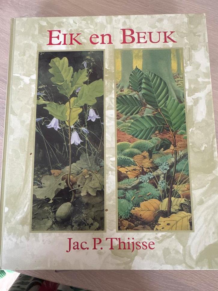 Eik en Beuk - Jac. P. Thijsse - Verkade Album, Boeken, Natuur, Zo goed als nieuw, Bloemen, Planten en Bomen, Ophalen of Verzenden