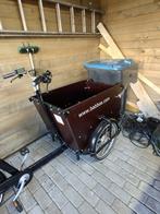 Babboe Dog elektrische bakfiets (drie wielen), Fietsen en Brommers, Overige merken, Elektrisch, Ophalen of Verzenden, Zo goed als nieuw