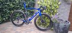 Pinarello Dogma F Carbon Racefiets, Overige merken, 28 inch, Carbon, Heren