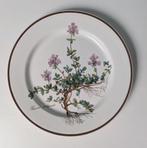 Vintage Villeroy & Boch Botanica ontbijtbordje thijm, Ophalen of Verzenden, Zo goed als nieuw, Bord(en), Overige stijlen