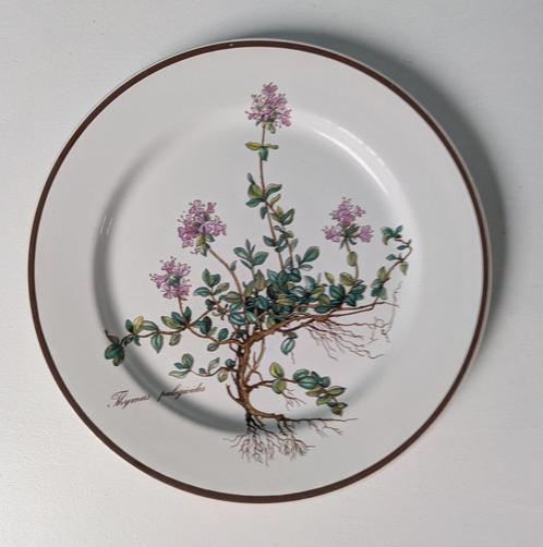 Vintage Villeroy & Boch Botanica ontbijtbordje thijm, Huis en Inrichting, Keuken | Servies, Zo goed als nieuw, Bord(en), Overige stijlen