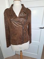 P4  Jasje Triple Nine mt 40 42, Kleding | Dames, Jasjes, Kostuums en Pakken, Ophalen of Verzenden, Gedragen, Jasje