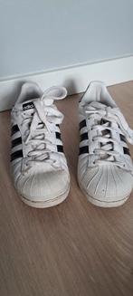 Adidas Superstar maat 36 1/3, Kleding | Dames, Schoenen, Ophalen, Zo goed als nieuw, Zwart, Sneakers of Gympen