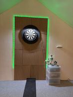 Dartbord met surround, Sport en Fitness, Darts, Ophalen of Verzenden, Gebruikt, Dartbord