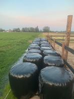 Aangeboden midi balen, Dieren en Toebehoren, Verzenden, Vee