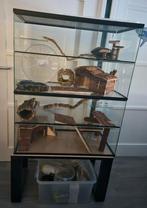 Knaagdieren verblijf, Ophalen, Zo goed als nieuw, Hok, Minder dan 60 cm