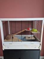 Dwerghamster kooi en benodigdheden, Dieren en Toebehoren, Knaagdieren en Konijnen | Hokken en Kooien, Ophalen, Kooi