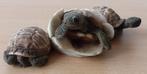 Beeld 3 Jonge Schildpadden - Castagna - 1989, Ophalen of Verzenden, Zo goed als nieuw, Dier