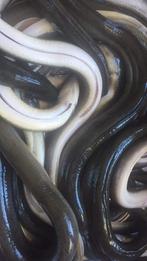 GEVRAAGD  PARTIJ ROOKAAL EN ZALMFOREL, Watersport en Boten, Ophalen