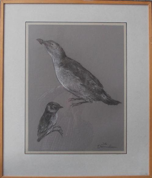 Grote krijttekening "Vogel met jong" (Bob Denneboom) UNICUM, Huis en Inrichting, Woonaccessoires | Schilderijen, Tekeningen en Foto's