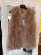 Ibana bont gilet beige maat 34 nieuw met kaartjes, Ophalen of Verzenden, Nieuw, Maat 34 (XS) of kleiner, Beige