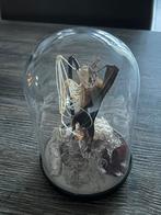 Taxidermie mooi opgezette vleermuis zie beschrijving!, Ophalen of Verzenden, Nieuw