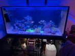 Spot goedkoop Red sea zeeaqarium 450 ltr 120x60x60, Dieren en Toebehoren, Vissen | Aquaria en Toebehoren, Ophalen of Verzenden