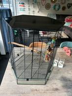 Zwarte  vogelkooi, Ophalen, Gebruikt, Aluminium, Vogelkooi