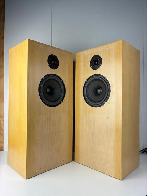 Audio Note by Peter Snell - AN-E LX - Speaker set, Audio, Tv en Foto, Luidsprekers, Zo goed als nieuw, Front, Rear of Stereo speakers