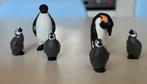 Playmobil 6649, Pinguïns met jongen., Ophalen of Verzenden, Zo goed als nieuw, Complete set