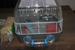 Hamsterkooi met accessoires, Dieren en Toebehoren, Knaagdieren en Konijnen | Hokken en Kooien, Minder dan 60 cm, Kooi, Minder dan 75 cm