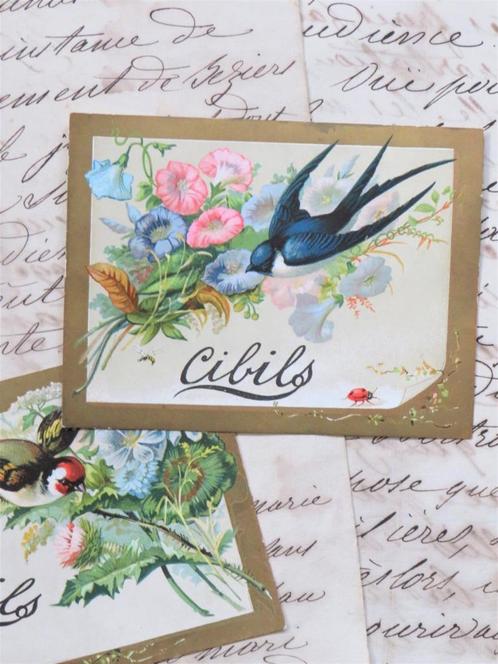 Oude reclamekaart Cibils – Extrait de Viande “Zwaluw”, Antiek en Kunst, Curiosa en Brocante, Ophalen of Verzenden
