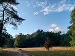 Hondenoppas vakantie omgeving Bilthoven/Zeist/Amersfoort, Diensten en Vakmensen, Dieren | Honden | Verzorging, Oppas en Les, Particuliere oppas