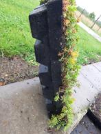 Sedumtray - Groendak / Bodembedekker - Direct van het land, Tuin en Terras, Planten | Tuinplanten, Ophalen of Verzenden, Vaste plant