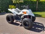 Apex Quad 100cc Pro Shark, H.O. Ben Brandsen VOF, Info@benbrandsenvof.nl, 100 cc, 11 kW of minder