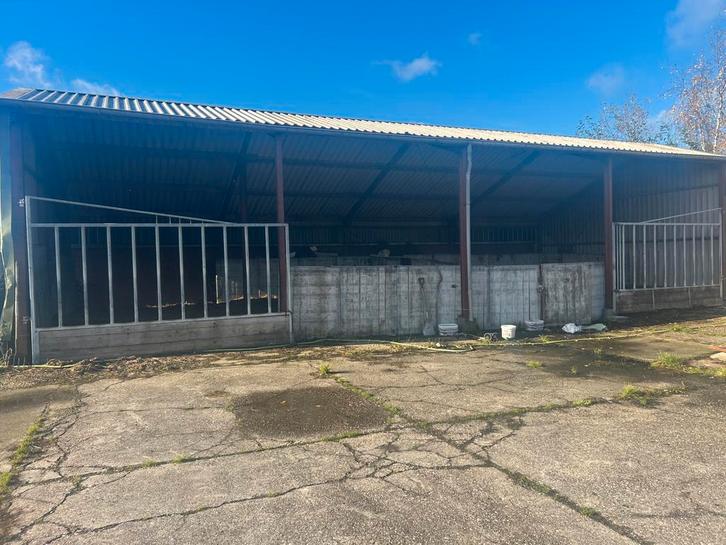 Kleinschalige opfok te Garyp, Dieren en Toebehoren, Stalling en Weidegang, Opfok